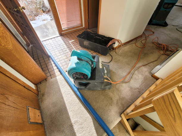 Best Water damage restoration near me  in Keasbey, NJ
